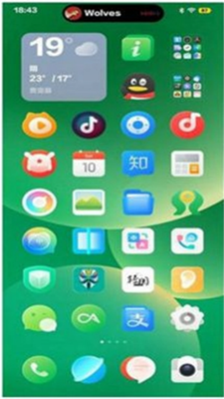 Smartphone截图4