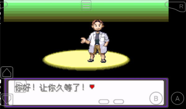 口袋妖怪漆黑的魅影截图2