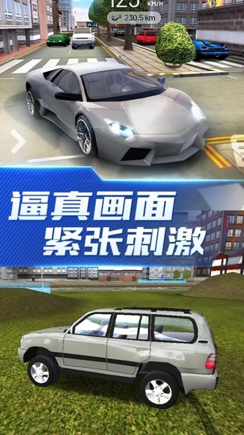 欧洲豪车驾驶模拟游戏截图1