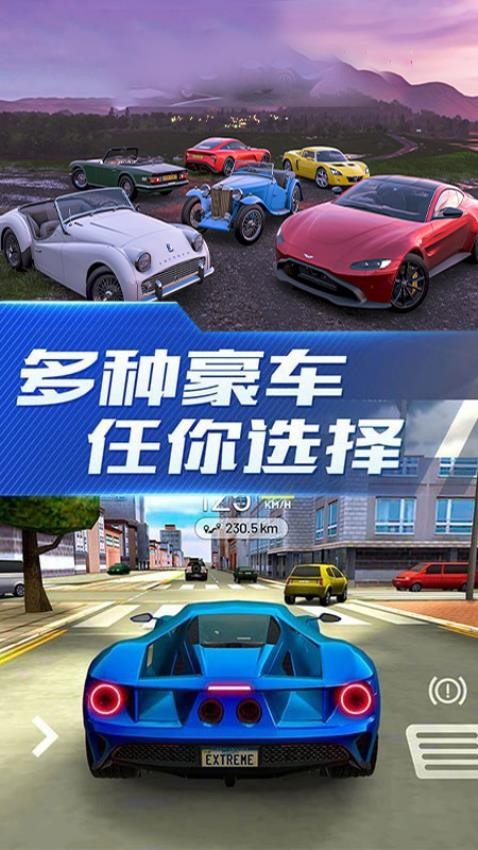 欧洲豪车驾驶模拟游戏截图3