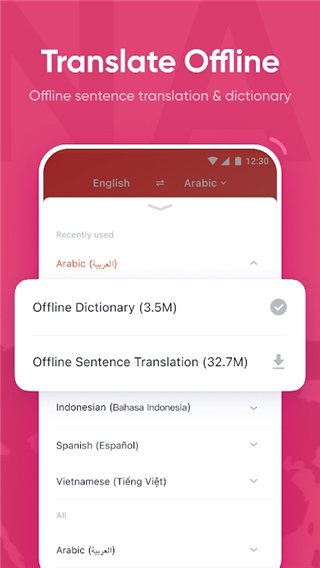 有道词典(UDictionary)国际版截图5