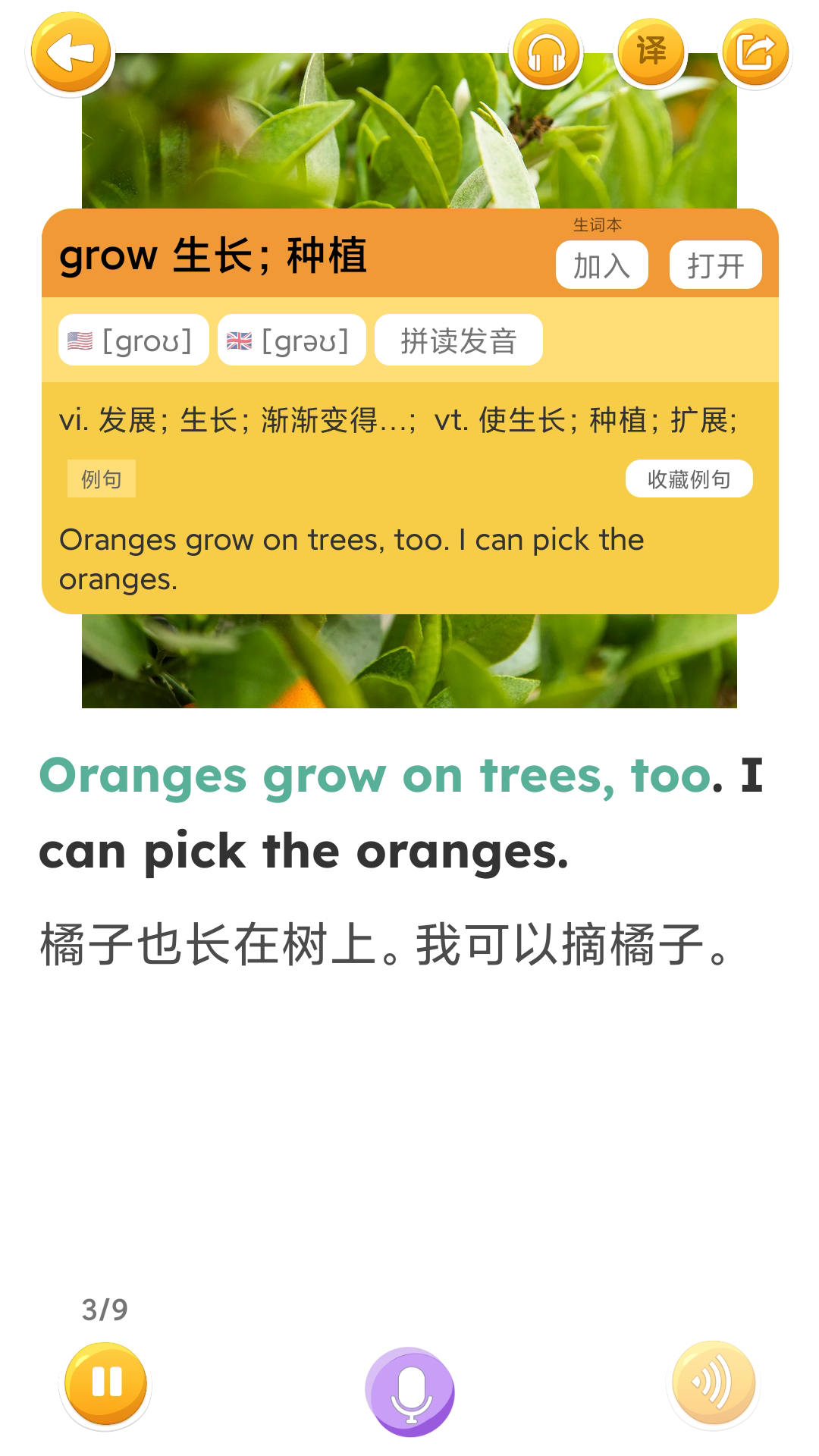 蓝思英语手机客户端APP截图4