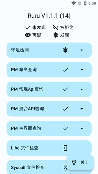 ruru环境检测截图3
