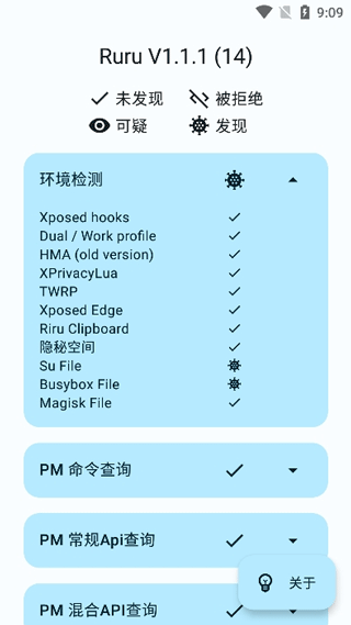 ruru环境检测截图1