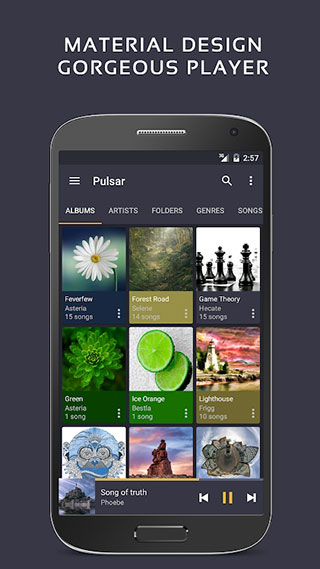 pulsar播放器截图2