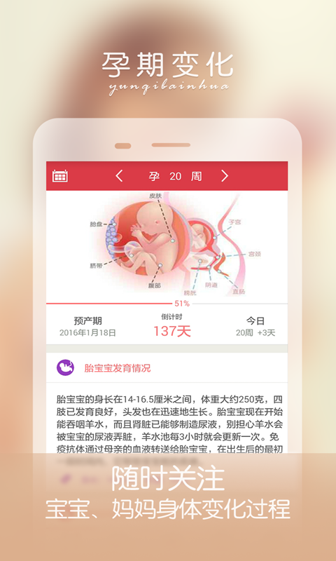孕妇伴侣APP截图1