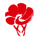 放新办app官网版
