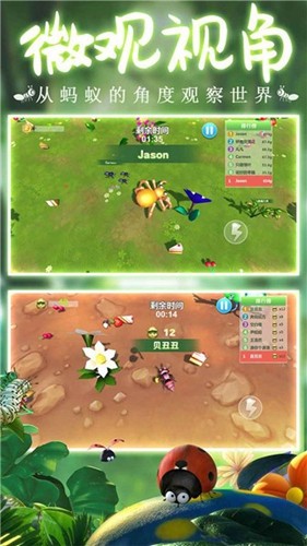 蚂蚁行军团中文版截图4