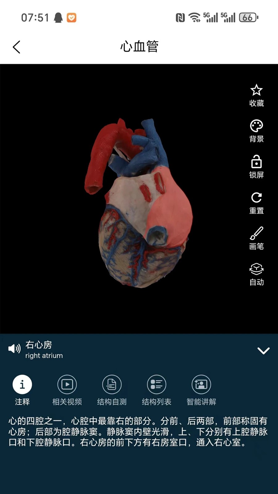 云解剖截图2