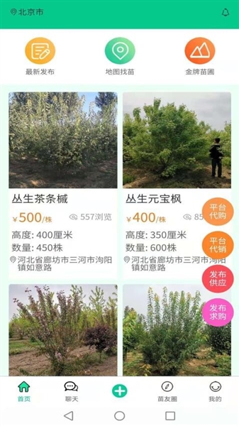 苗木人官方版