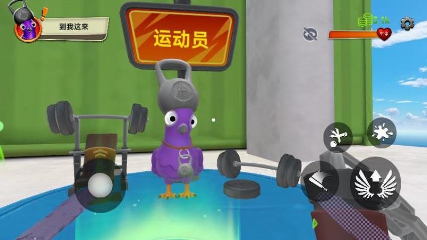 模拟鸽子游戏截图3