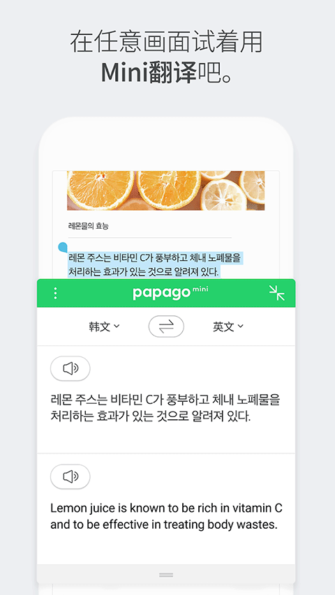 Papago截图3