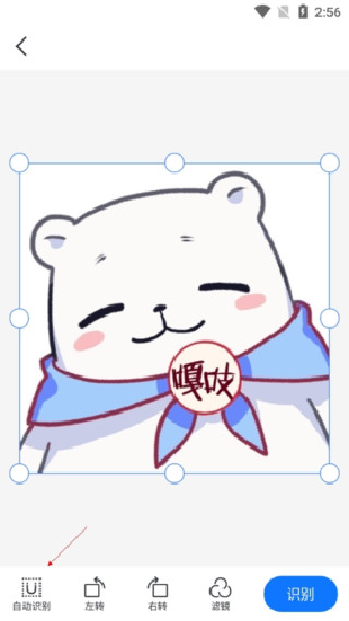 掌上识别王