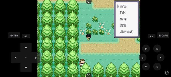 口袋妖怪燃之智3.4内置修改器