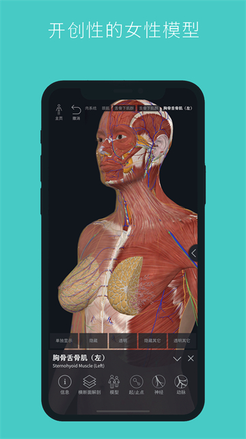 Complete Anatomy官方版截图2