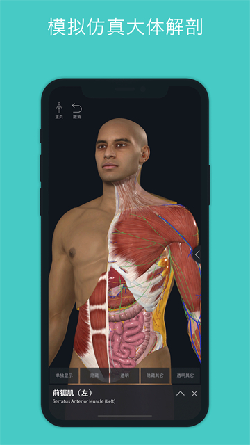 Complete Anatomy官方版截图3