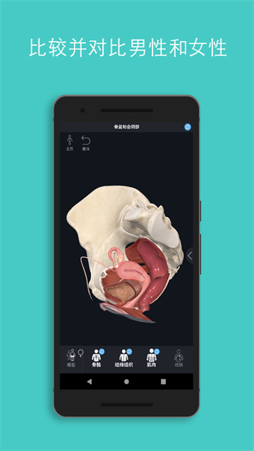 Complete Anatomy官方版截图1