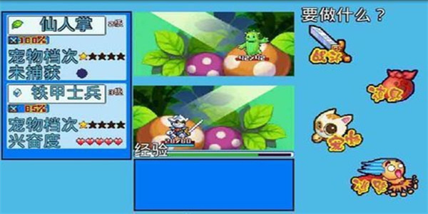 宠物王国5彩虹内购免费版截图2