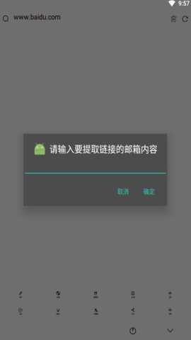 极影浏览器官方版截图2