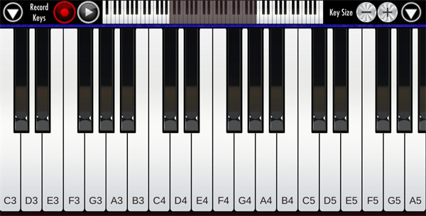 Real Piano截图4