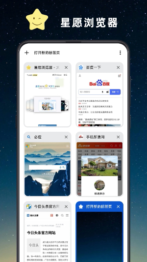 星愿浏览器app官网版截图3