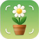 识花君app