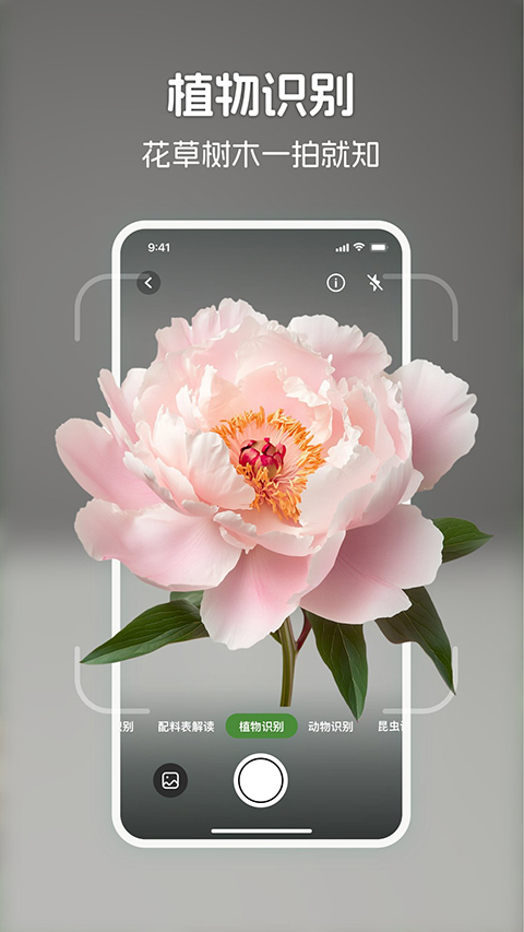 识花君app截图3