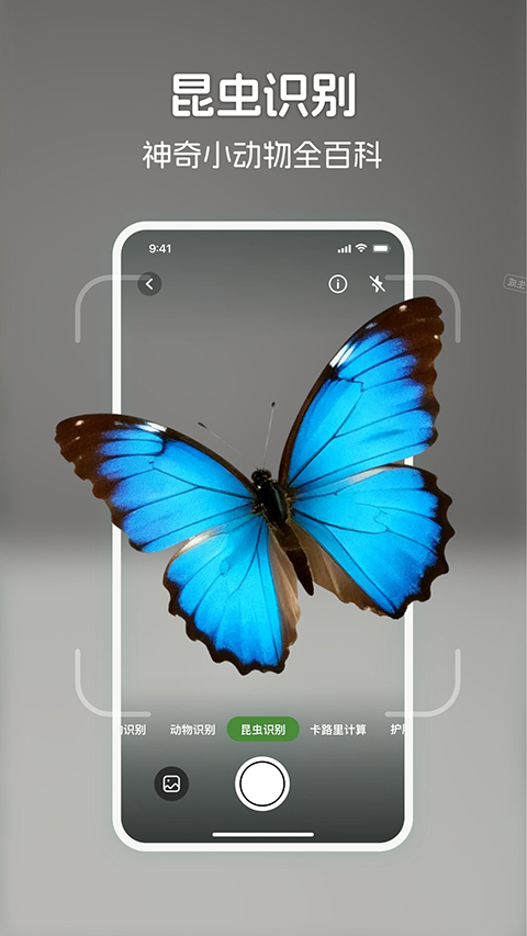 识花君app截图5