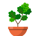 悠哉悠哉植物园