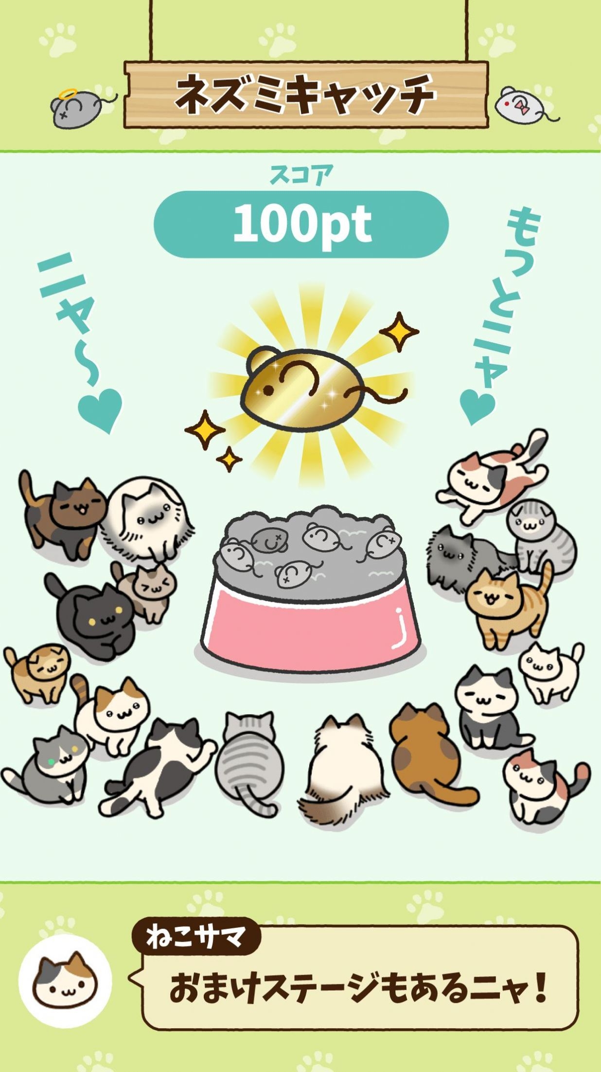寻找猫咪截图1