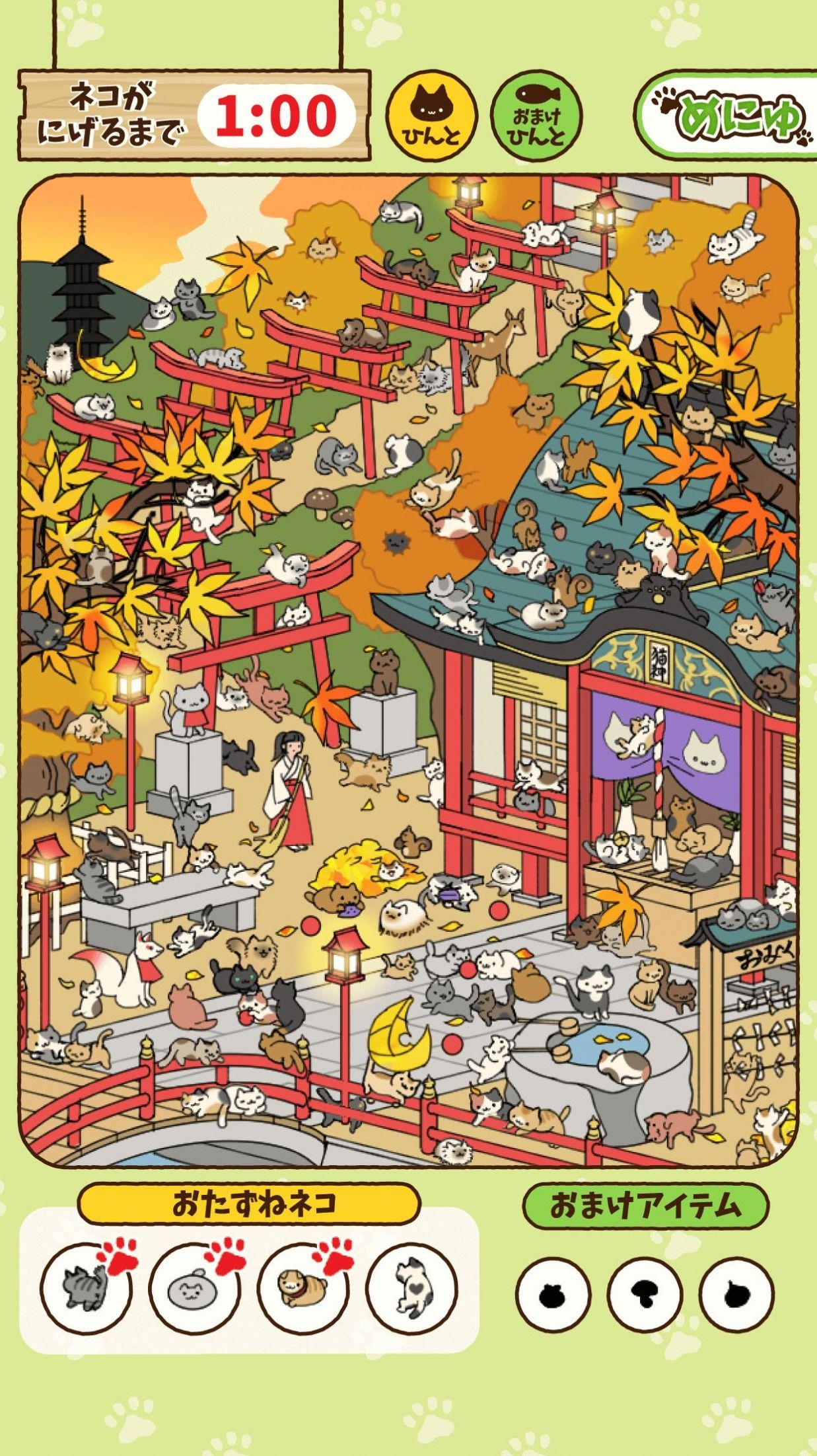 寻找猫咪截图4