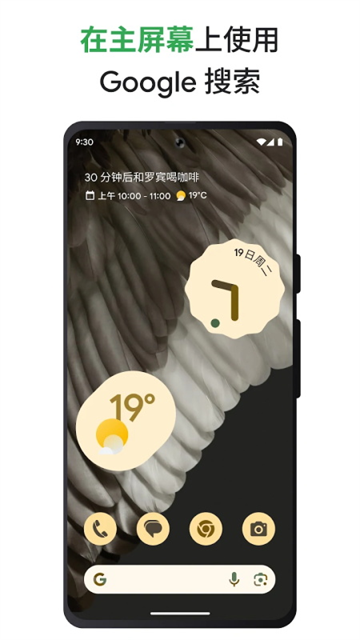 谷歌App截图5