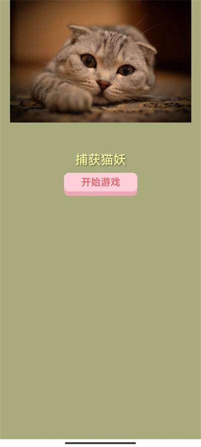捕获猫妖截图1