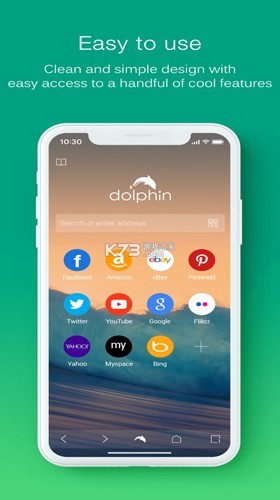 海豚浏览器hd截图3