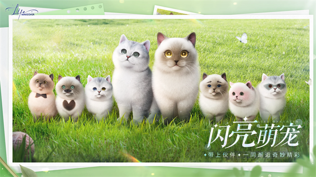 以闪亮之名游戏