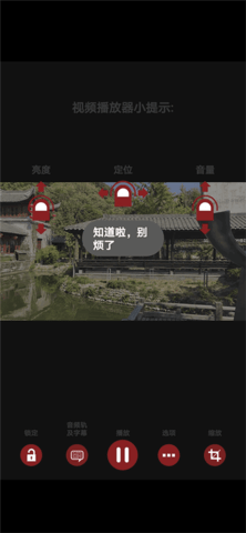 RMVB格式播放器截图1