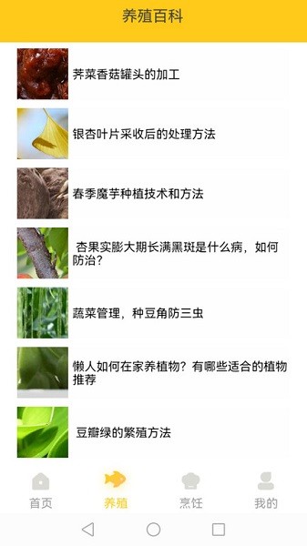 小院人家餐馆截图4