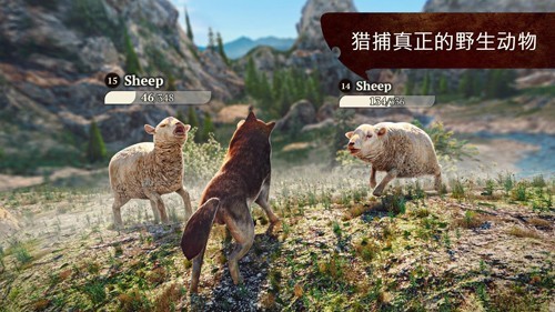 狼族内置修改器最新版本截图4