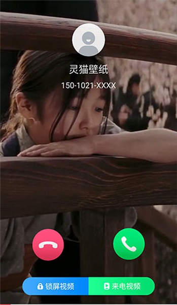 灵猫壁纸官方版截图4