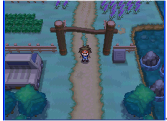 口袋妖怪黑白手机版截图1