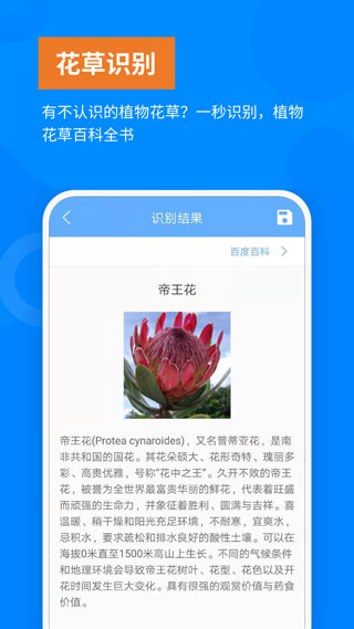 洋果扫描王截图3