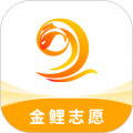 金鲤志愿app