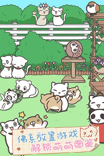 猫咪饲养日常汉化版截图3