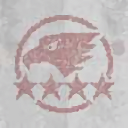 第六装甲部队（TeamSix）