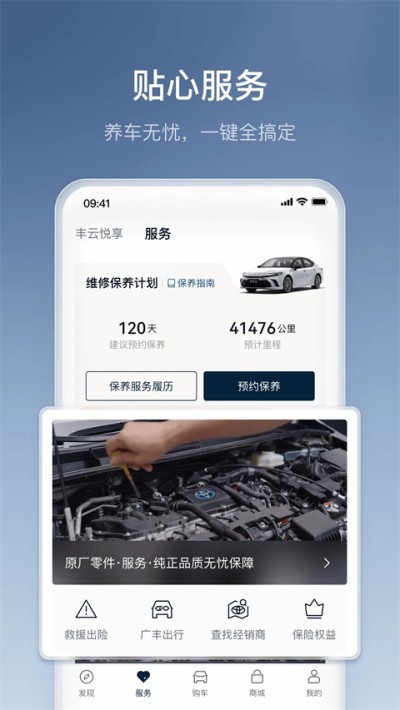 丰云行截图4