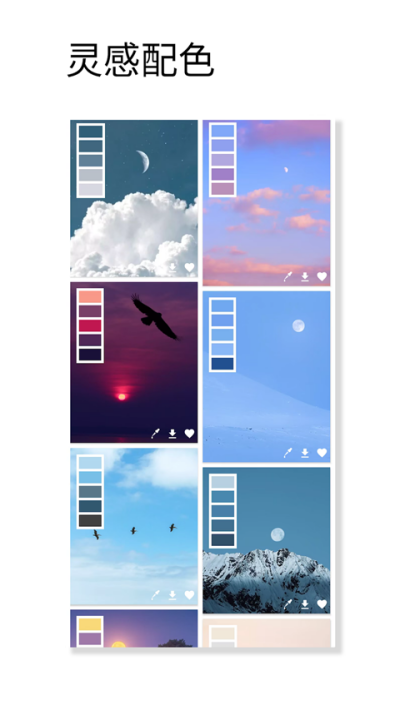 观色配色最新版截图1