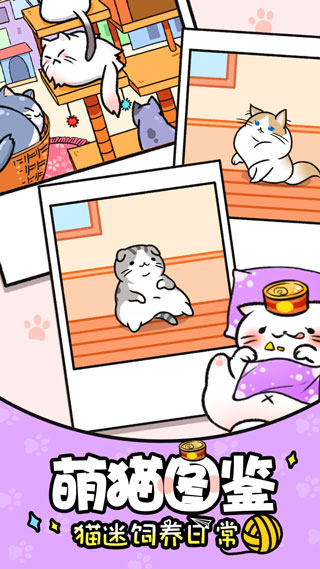 猫咪公寓截图1