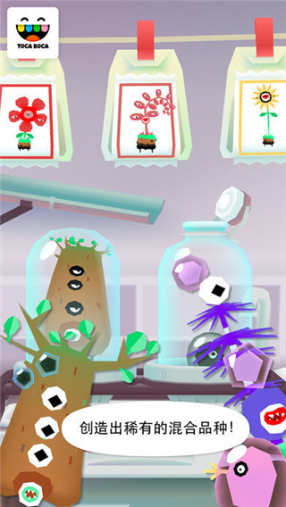 托卡实验室植物最新版截图5