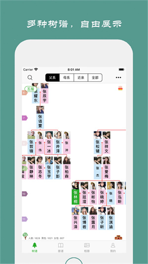 族记家谱截图2