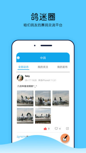 中鸽网截图2